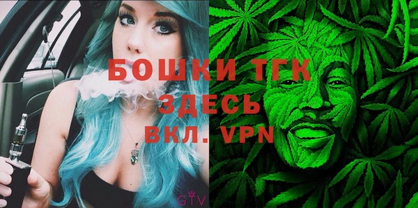 гидра Сясьстрой