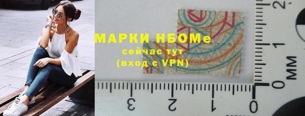 стаф Тавда