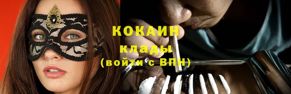 стаф Тавда