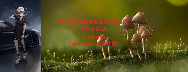 спиды Тайга