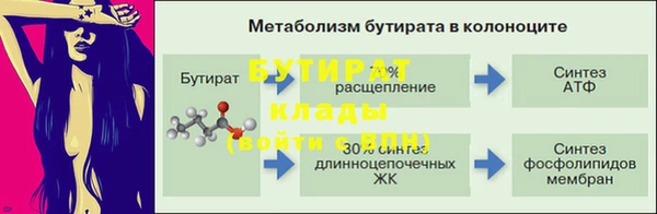 гидра Сясьстрой