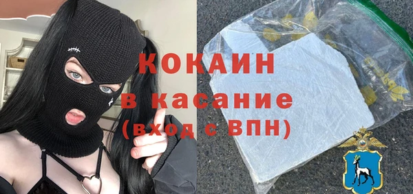гидра Сясьстрой
