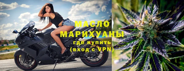 гидра Сясьстрой