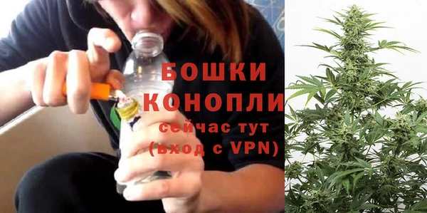 гидра Сясьстрой
