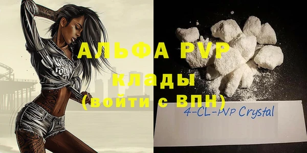 стаф Тавда