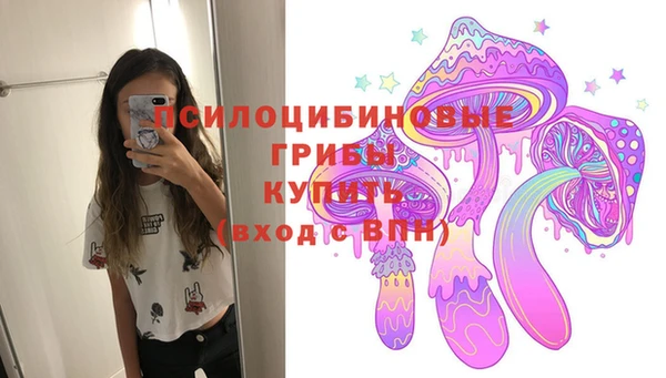 спиды Тайга
