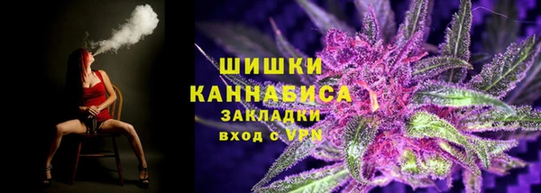 гидра Сясьстрой