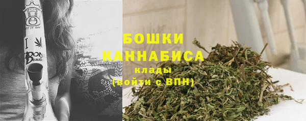 спиды Тайга