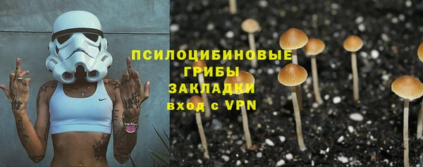 стаф Тавда